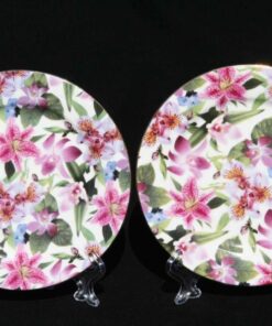 Lily Rainbow Royal Devonshire Fine White Porcelain Set Of 2 Side Plates