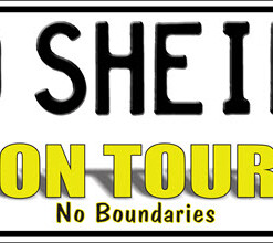 OLD SHEILAS ON TOUR Novelty Number Plate