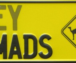 GREY NOMADS with caravan and camel sign Novelty Number Plate
