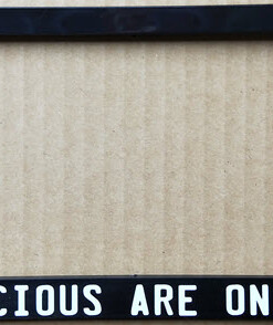 MY PRECIOUS ARE ON BOARD Number Plate Frame Surround