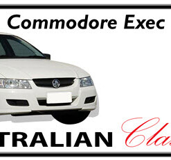 HOLDEN VZ COMMODORE EXEC Novelty Number Plate