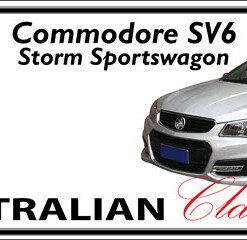 HOLDEN VF COMMODORE SV6 Storm Sportswagon Novelty Number Plate