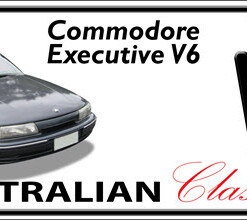 HOLDEN VP Commodore Executive V6 Novelty Number Plate