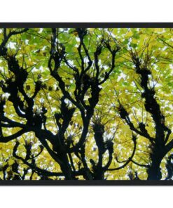44dba860-c3c1-44ce-928e-4dd6bc31bb31