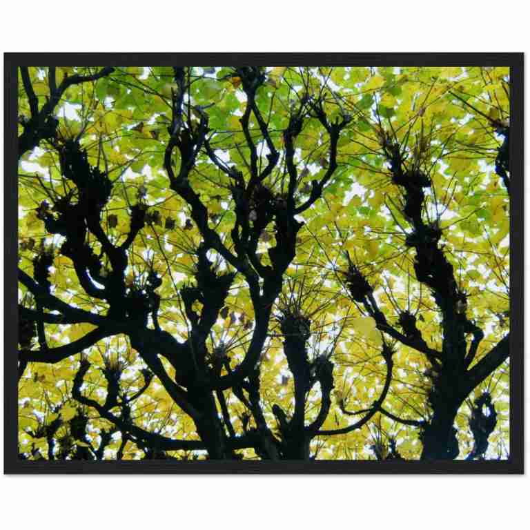 44dba860-c3c1-44ce-928e-4dd6bc31bb31