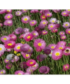 4f3a7ac7-cfe7-45ad-84e7-46165a361492