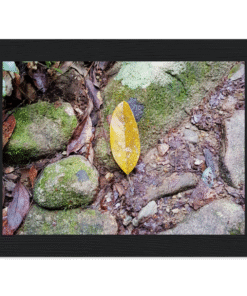 4fa3d863-cb22-465e-93b7-eab69280c002