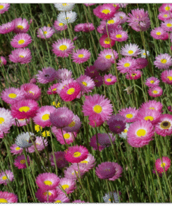 736dc517-045f-456a-a92e-8aa86b9674c0