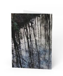 Alternative view of Tree Reflection In Creek Water Greeting Cards