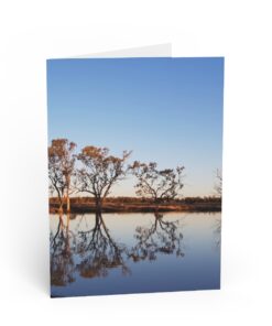 Sunset At A Lagoon With Eucalyptus Trees Greeting Cards