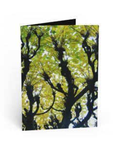 Green Tree Canopy With Different Coloured Green Leaves Greeting Cards