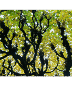 7cc51587-c382-4a9c-a0ae-24b54f06dbdc
