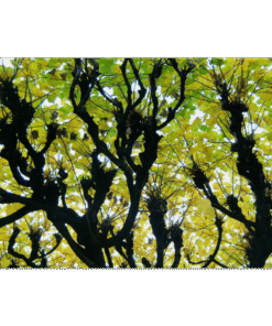 a48b5db6-2849-413b-8e99-db43ddf2dca0