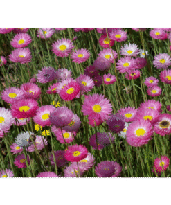 c56cdb64-6792-441a-bfda-c57f640c055a