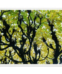 e704c532-5eb6-4cfc-a50f-04897ed9e6c4
