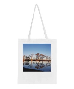 f487a572-8a2d-43f8-b35b-19e05892b411