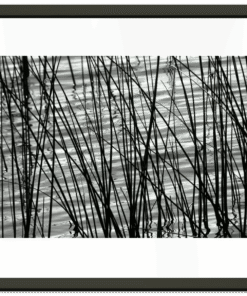0a7c914b-f293-4076-bf54-504900efe128