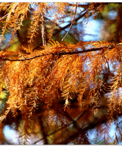 0dc83e8b-9ef3-4c7f-b68a-05d6e5d4ce75