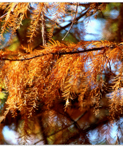 15744360-c705-4b2e-9bd7-bbdc18a9bd94