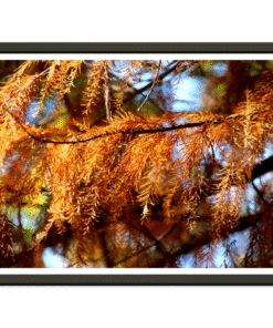 31931ff3-bd33-4423-9ffe-5ee123981bdc