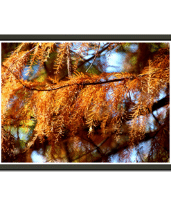 3d1ffb7d-4d12-4524-adf8-1e5523ebb379