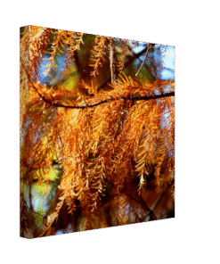 420703a7-ecac-4b4b-8362-c81d8a959685