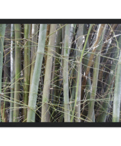 43109648-46f8-4139-a252-c21d74d53f48