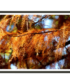 462f75f4-77bf-46c1-9835-52217476d6a5