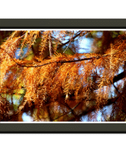 46f293b7-9bd7-40c3-b45f-6329b257d48a