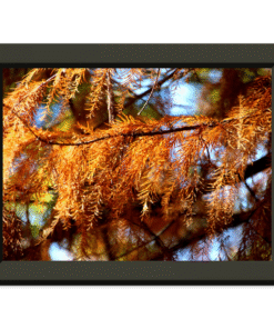 55a22801-301a-406d-bd48-75e6bf391f37