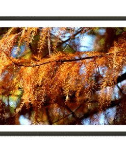 5b57bbca-6287-40ba-a0a3-c1f2076b8648