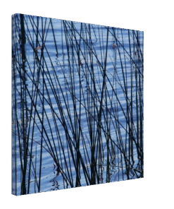 5d224dd0-2f50-4b4d-ae01-3a0ff5a112ec