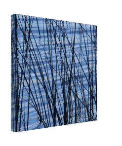 6d121ad4-6644-471b-a5e4-325cbb88c1b7