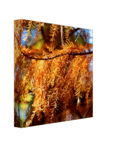 6f4662e9-63cf-477e-b0a6-5c81783f70e3