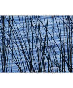 7446d41c-d3ee-4f22-8924-6eb7d3e281f3