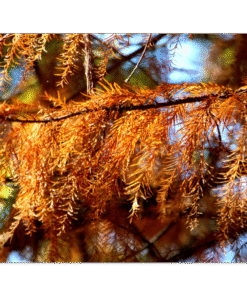 77107b2a-a4b8-408c-8483-1e486b97e769