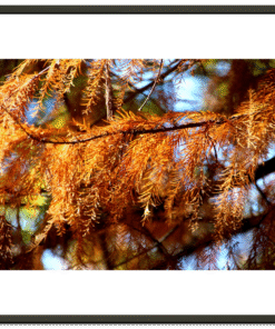 7b9a460d-521e-4b12-93e1-c8e4df1369c3