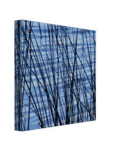 9af4ede9-c626-47a3-a8bb-9f42203d3bcc