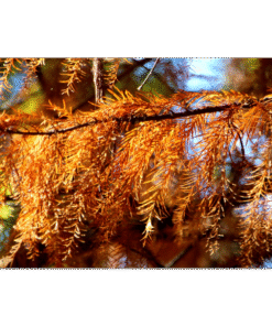 9ca39e60-8974-4738-92dc-8dbc3ad7d03a