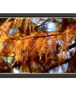 ade76fb7-46ff-4e32-ad24-d81aa3582926