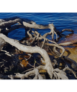 d750d27c-2e1a-47fe-a8a1-ab0d664dff35