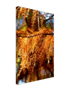 dcbaf90c-cbbb-4548-8b6c-b5ec19f8d8f3