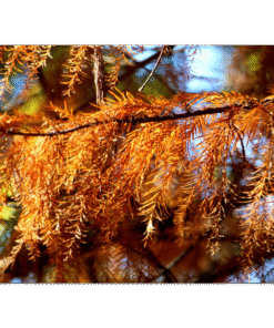 dcd4cb35-2dc4-4a90-8955-cb44deb6531e