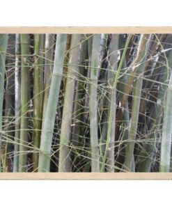 dd0f51cb-8a1e-4121-b2d0-8d9361c857f3