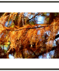 e53abb89-1ac1-42b0-b424-8a91d93904cd