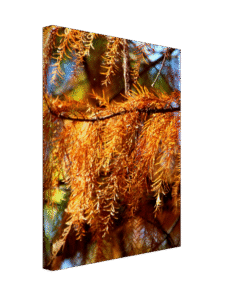 e6764671-afe2-4454-87d1-216c2c85fa61