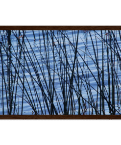 f5c3d118-c800-4d06-baa7-7684ec4fd00c