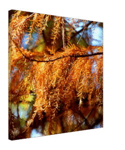 fef7d47d-bf8d-40ec-a86b-e2b6acc57aca