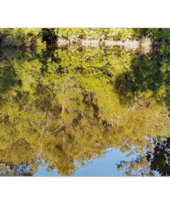 0b23136f-9e3c-4ef9-8cb0-02b835b0729a