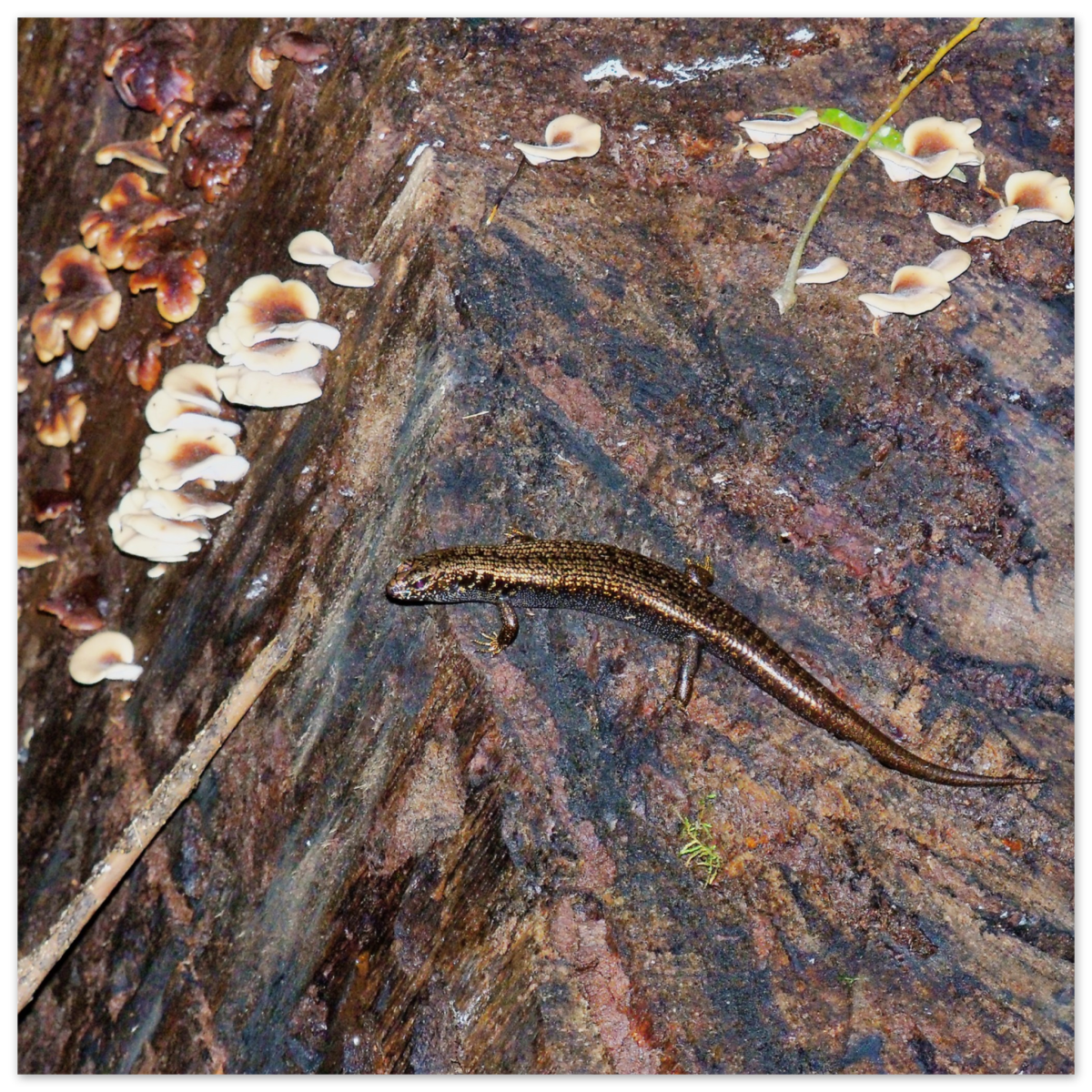 0ea7447b-8d99-4c19-b1d8-1f056fd35aa1